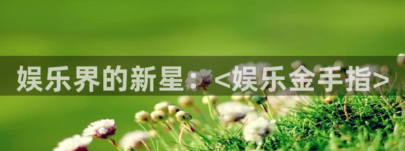 星欧娱乐3代理：娱乐界的新星：<娱乐金手指>
