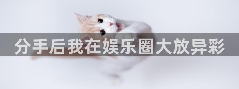 星欧娱乐3官网：分手后我在娱乐圈大放异彩