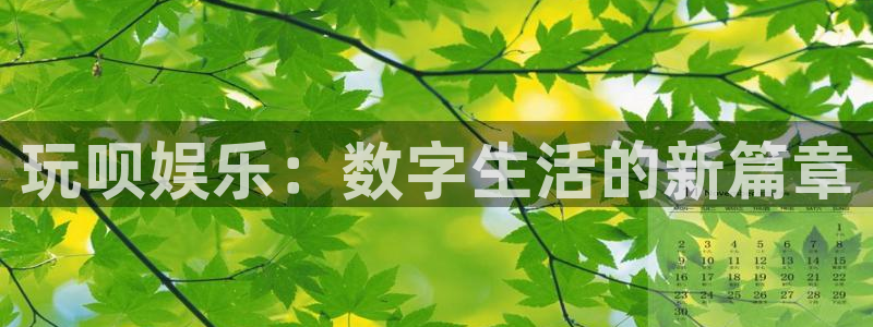 星欧娱乐平台：玩呗娱乐：数字生活的新篇章