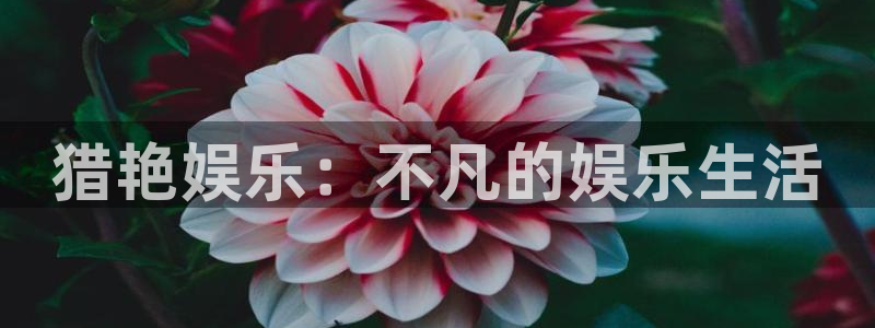 星欧娱乐.ccmpc登录：猎艳娱乐：不凡的娱乐生活