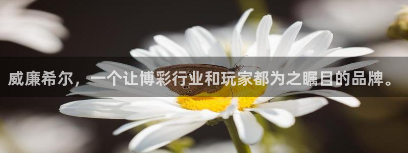 星欧娱乐体育在线注册：威廉希尔，一个让博彩行业和玩家都为之瞩目的品牌。