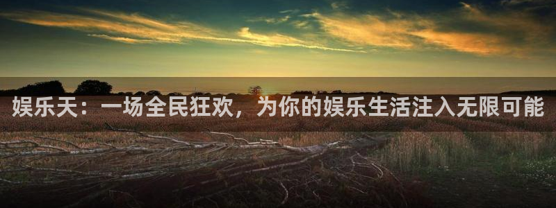 星欧娱乐体育合法嘛：娱乐天：一场全民狂欢，为你的娱乐生活注入无限可能
