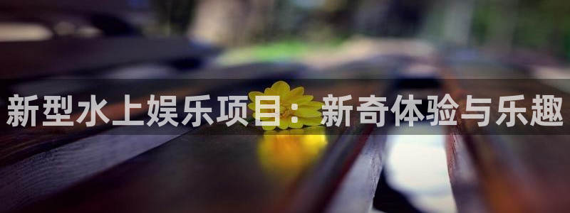星欧娱乐登录界面入口：新型水上娱乐项目：新奇体验与乐趣