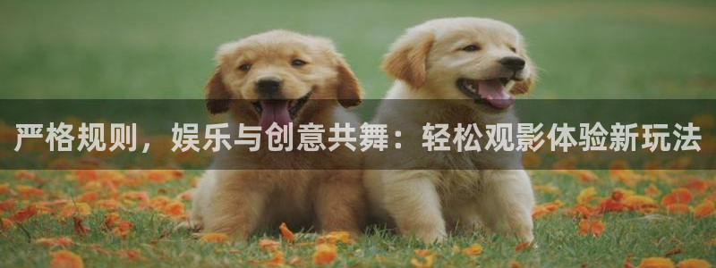 星欧娱乐环保：严格规则，娱乐与创意共舞：轻松观影体验新玩法