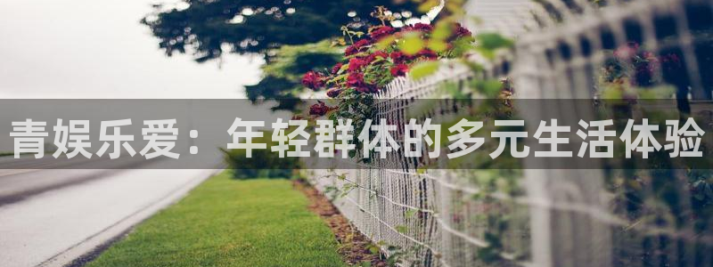 星欧娱乐体育3在线注册：青娱乐爱：年轻群体的多元生活体验