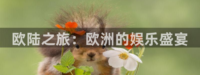 星欧娱乐下载链接：欧陆之旅：欧洲的娱乐盛宴