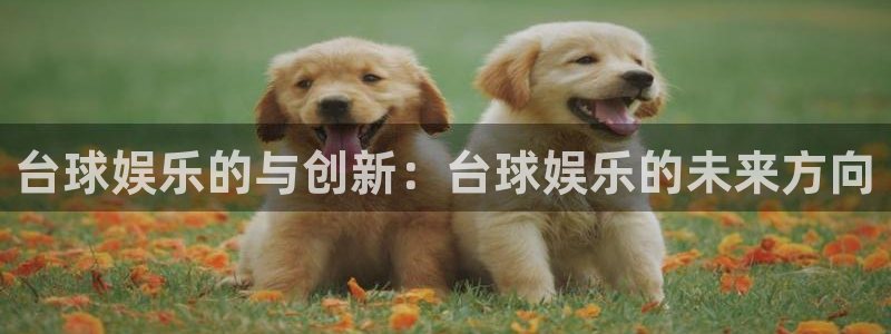 星欧娱乐平台开户链接：台球娱乐的与创新：台球娱乐的未来方向