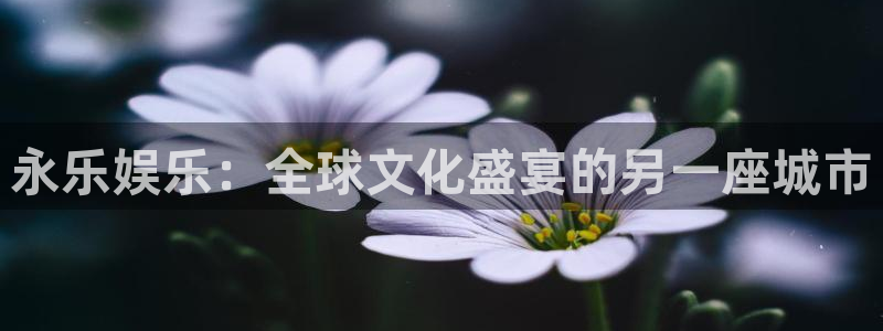 星欧娱乐体育游戏：永乐娱乐：全球文化盛宴的另一座城市