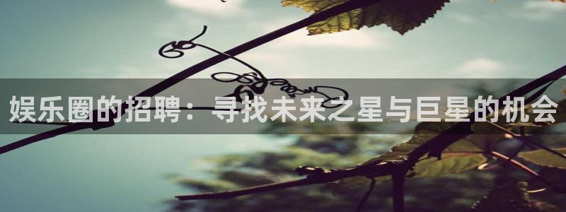 星欧娱乐.ccmpc29官网版下载：娱乐圈的招聘：寻找未来之星与巨星的机会