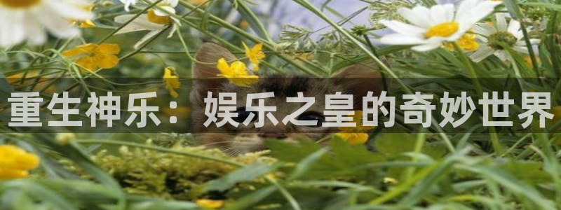 星欧娱乐平台总代理：重生神乐：娱乐之皇的奇妙世界