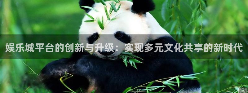 星欧娱乐2体育：娱乐城平台的创新与升级：实现多元文化共享的新时代