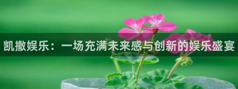 福建星欧娱乐机电股份公司：凯撒娱乐：一场充满未来感与创新的娱乐盛宴