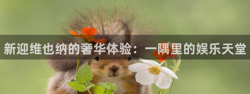 星欧娱乐体育热门赛事有哪些：新迎维也纳的奢华体验：一隅里的娱乐天堂