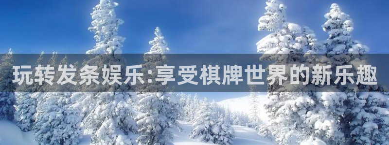 星欧娱乐4登录：玩转发条娱乐:享受棋牌世界的新乐趣