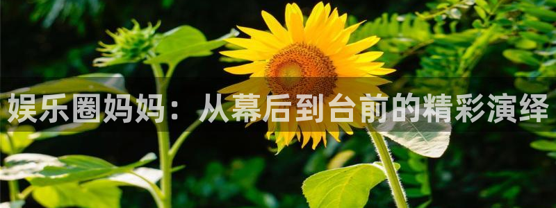 星欧娱乐vip麻将胡了：娱乐圈妈妈：从幕后到台前的精彩演绎