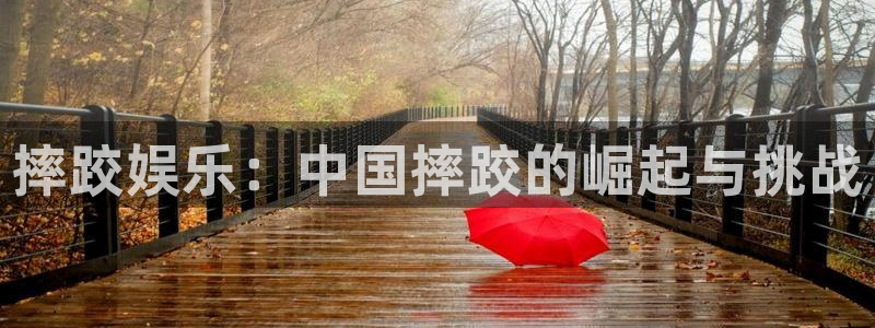 星欧娱乐官网版：摔跤娱乐：中国摔跤的崛起与挑战