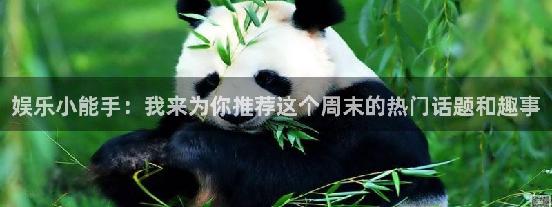 星欧娱乐平台官网版最新：娱乐小能手：我来为你推荐这个周末的热门话题和趣事