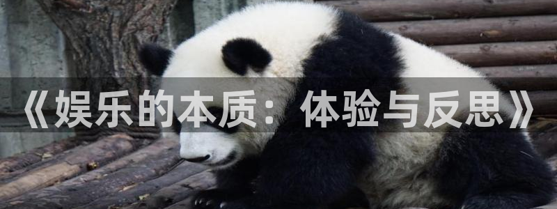 星欧娱乐app新版上线体验.游戏更新入口.中国：《娱乐的本质：体验与反思》