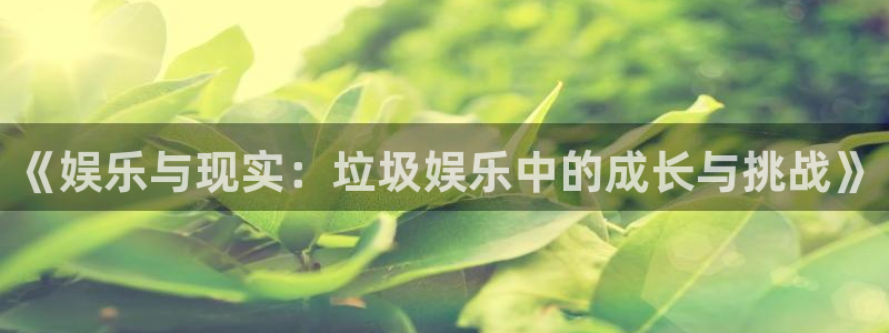 星欧娱乐4：《娱乐与现实：垃圾娱乐中的成长与挑战》