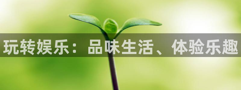 星欧娱乐4：玩转娱乐：品味生活、体验乐趣