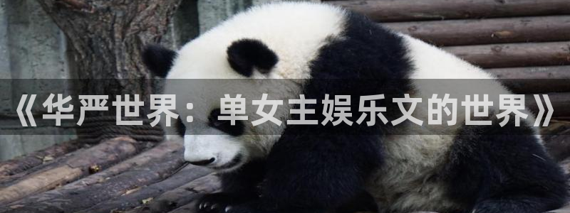 星欧娱乐体育官网：《华严世界：单女主娱乐文的世界》