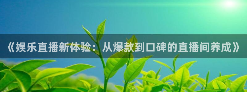 《娱乐直播新体验：从爆款到口碑的直播间养成》