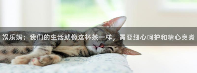 星欧娱乐注册：娱乐妈：我们的生活就像这杯茶一样，需要细心呵护和精心烹煮
