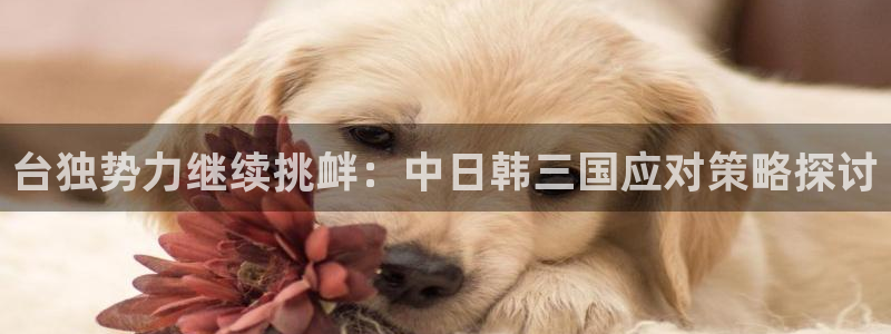 星欧娱乐体育1招商：台独势力继续挑衅：中日韩三国应对策略探讨