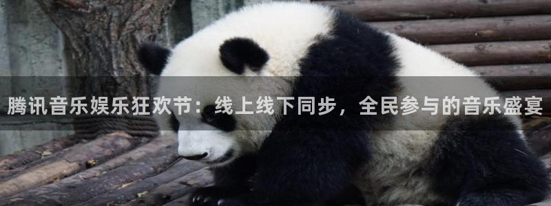 星欧娱乐代理：腾讯音乐娱乐狂欢节：线上线下同步，全民参与的音乐盛宴