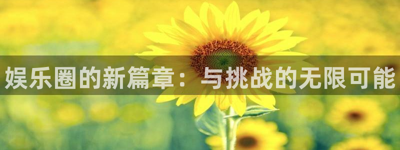 星欧娱乐体育代理申请流程：娱乐圈的新篇章：与挑战的无限可能